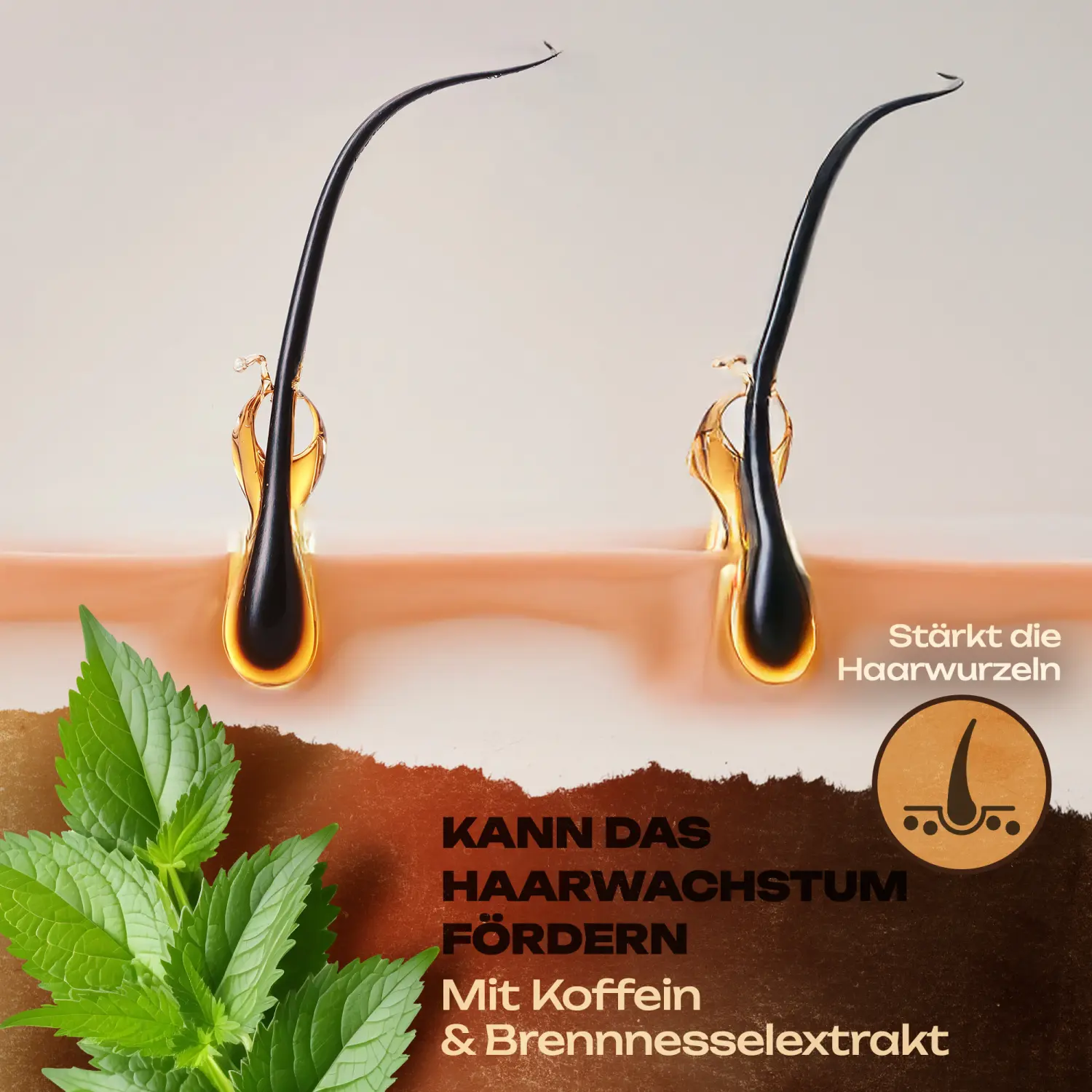 MG Haarwasser Hairtonic ICE von MG Pomaden