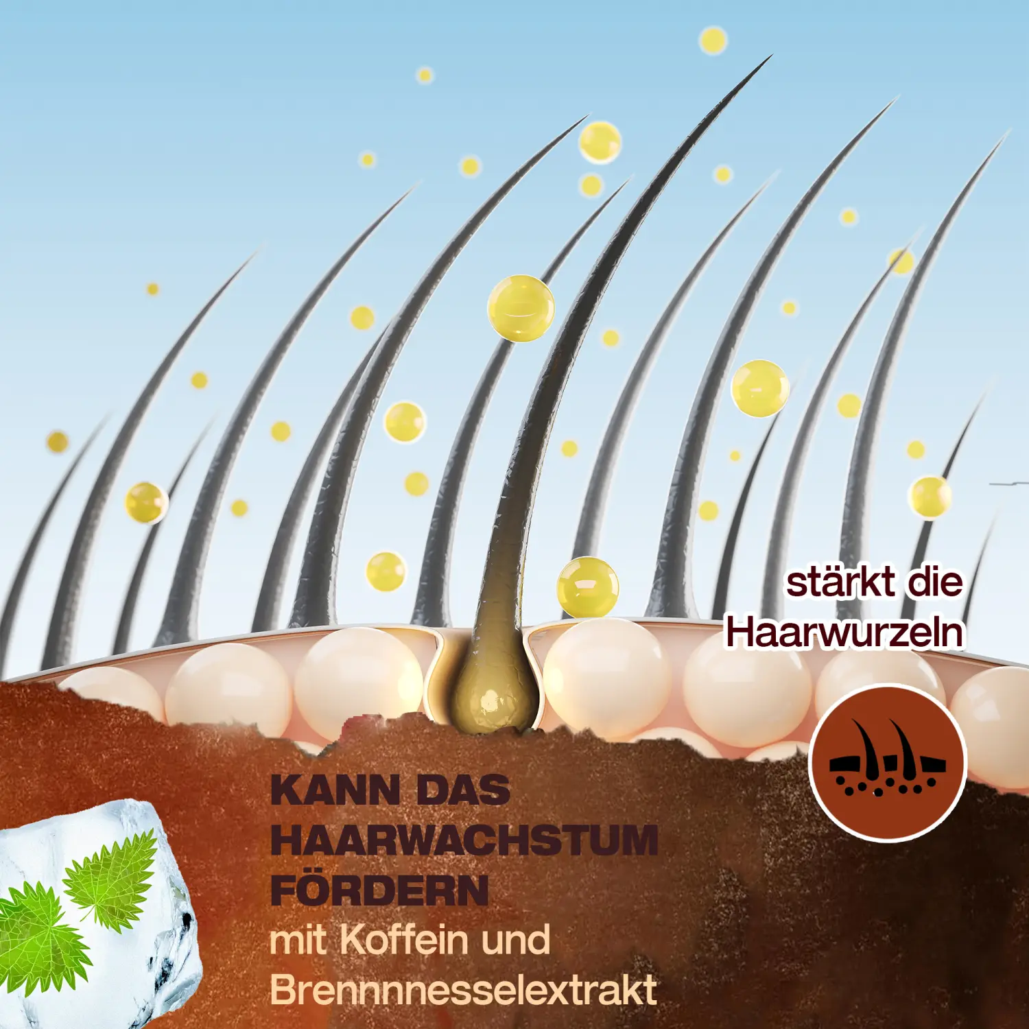 MG Hairtonic ICE von MG Pomaden